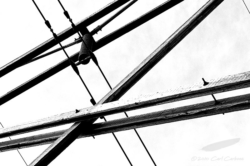 04/05/2010 - _MG_6465bw.jpg