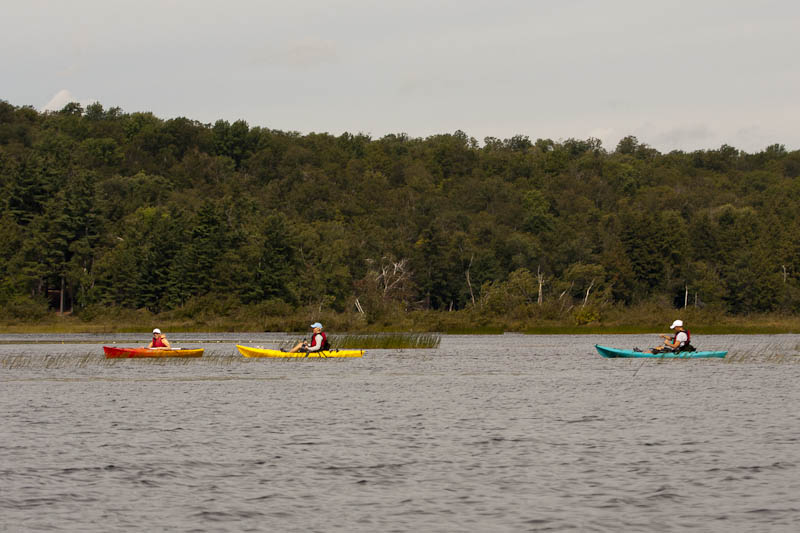 _MG_9678.jpg