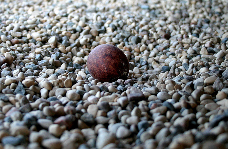 First Egg
