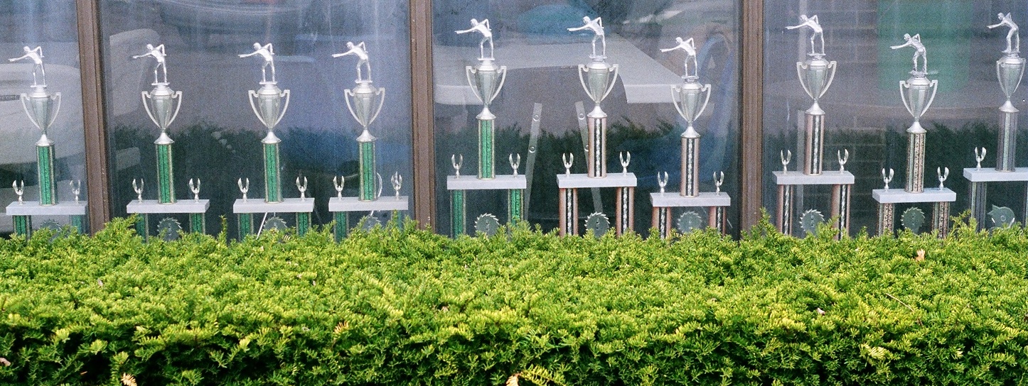 Trophies for billiards