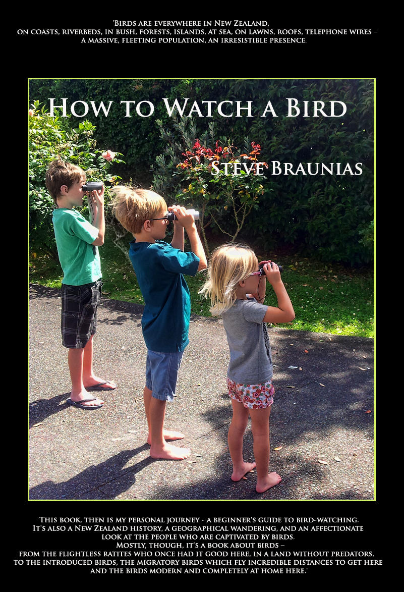 How to Watch a Bird