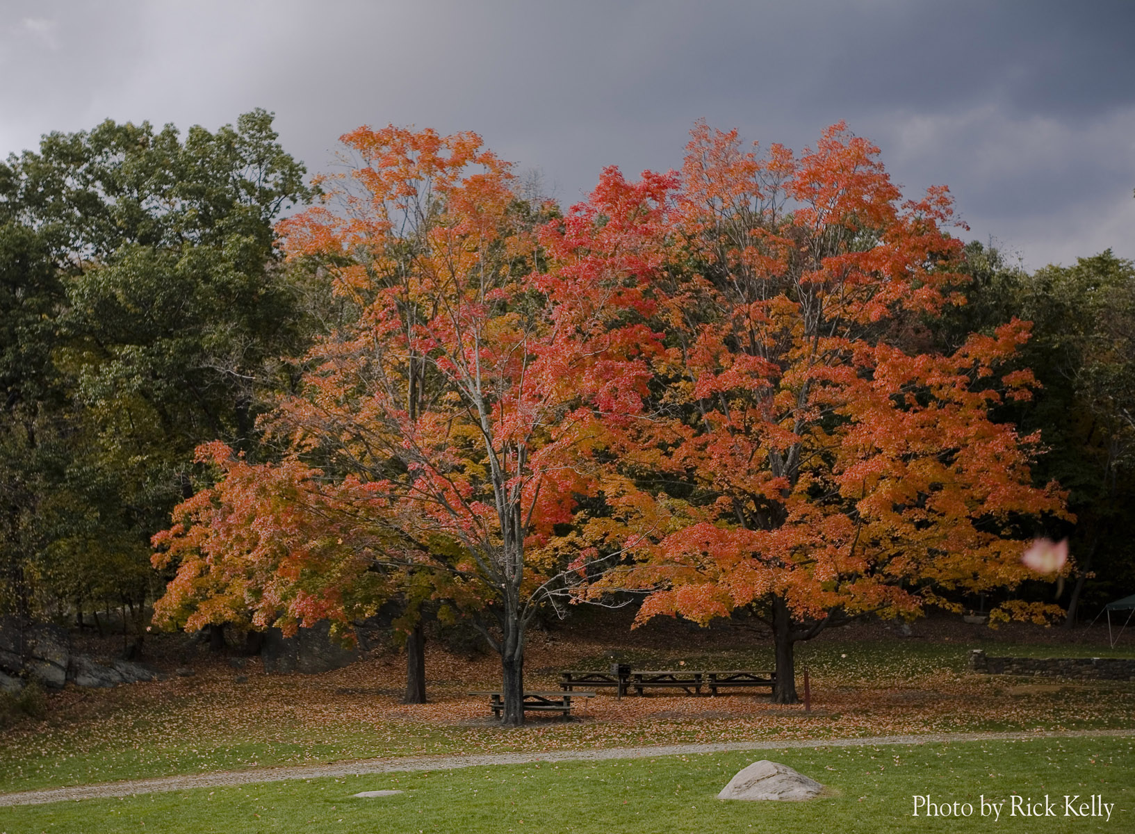 North Jersey Autumn