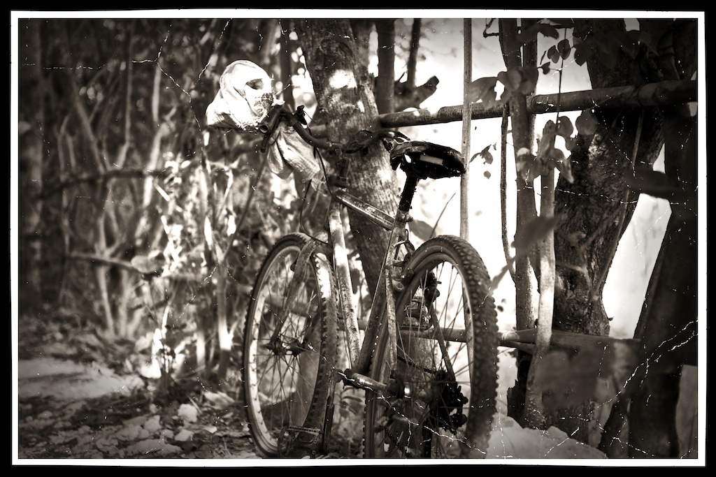 IMG_0475PS_B&WEffect_Plugin.jpg