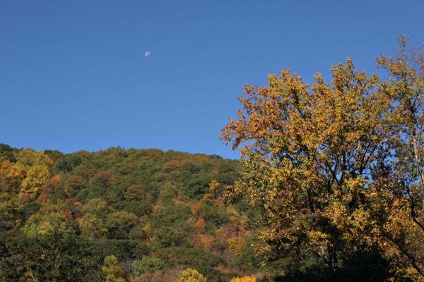 Blue Mountain Moon