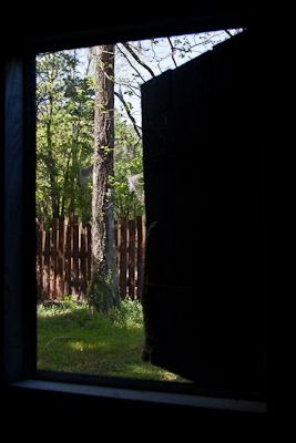Cabin Window View