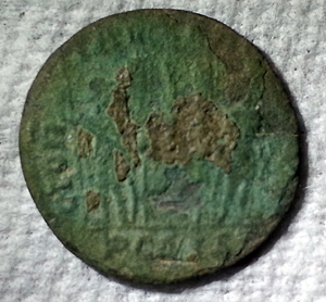 8b.jpg
