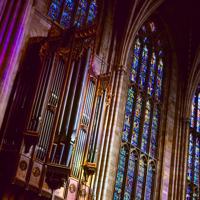 The Organ and Stained Window