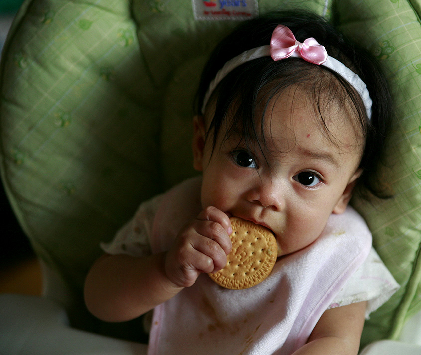 Cookie Monster