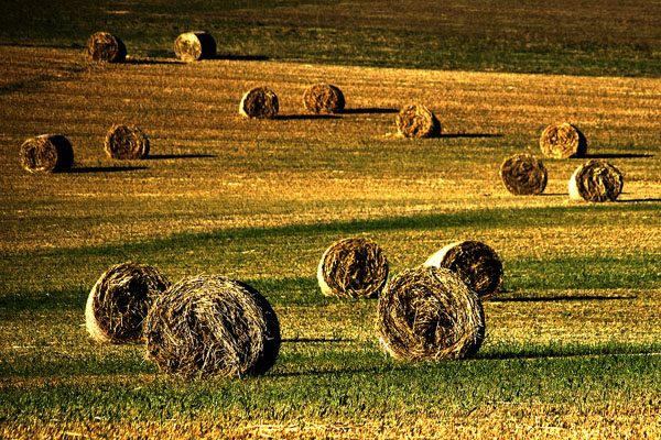 Luberon, 2008