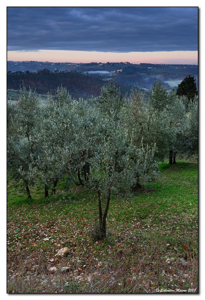 Il risveglio sulle colline toscane (3)