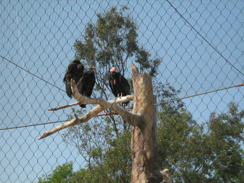 IMG_0613.JPG