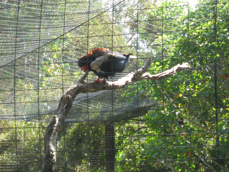 IMG_0616.JPG