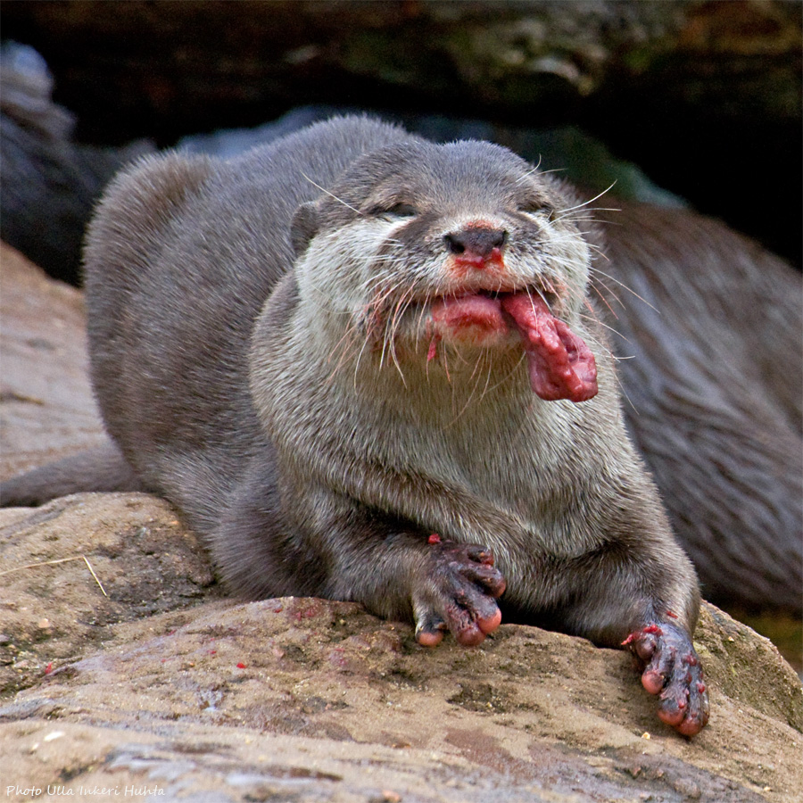 Back to cute in a sec, Im on dinner break here!