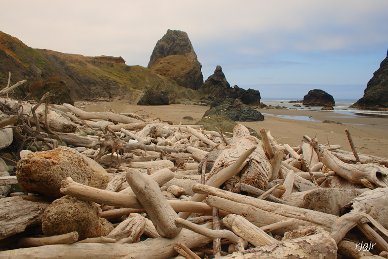 Driftwood, Crook Point, Oregon