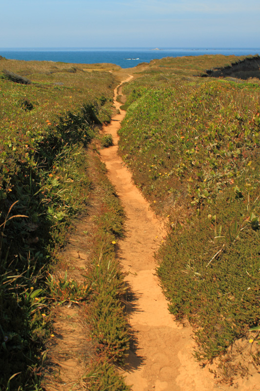 Trail to Otter Point