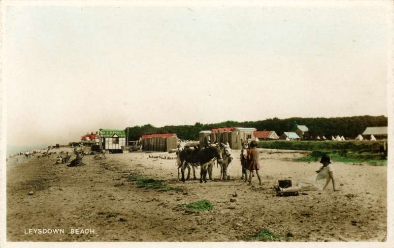 Donkey Rides on the beach