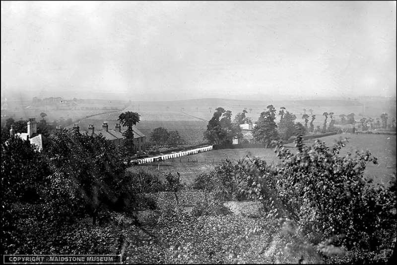 Minster Hill