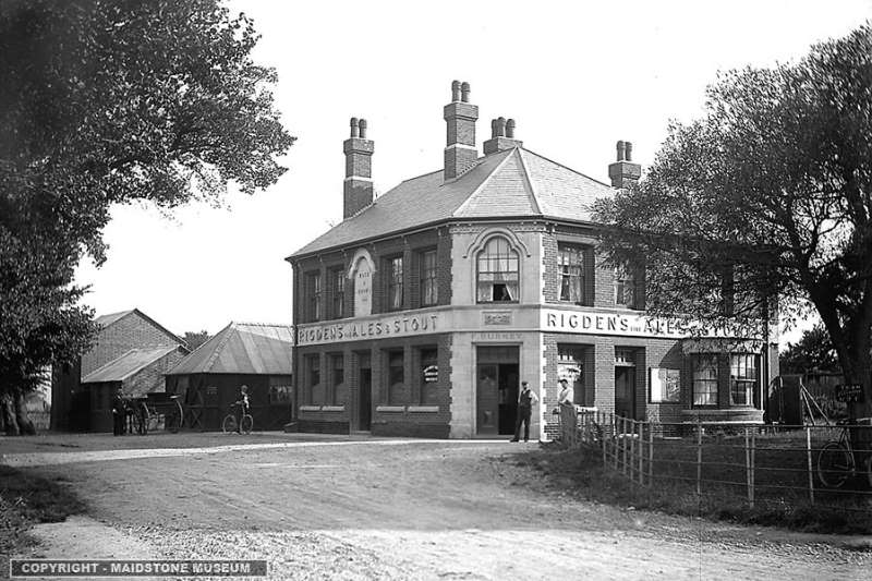 Rose And Crown