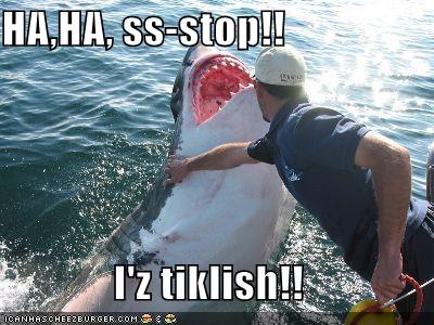 o2/99/289199/1/106724716.a4lKkZyw.ticklish_sharkjpg