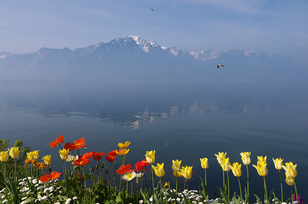 Montreux