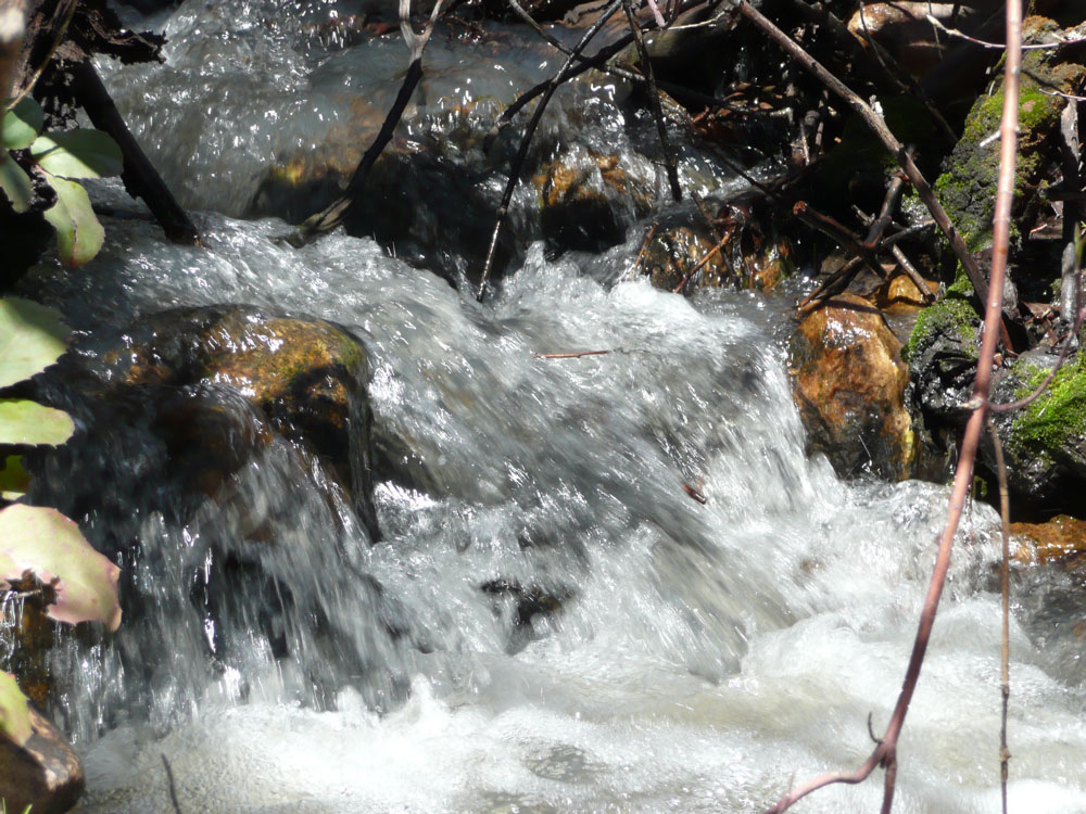 Gibson Jack Creek roaring in May P1020602.jpg