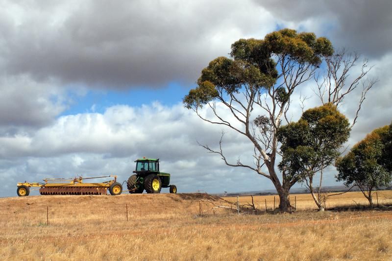 Harvest time