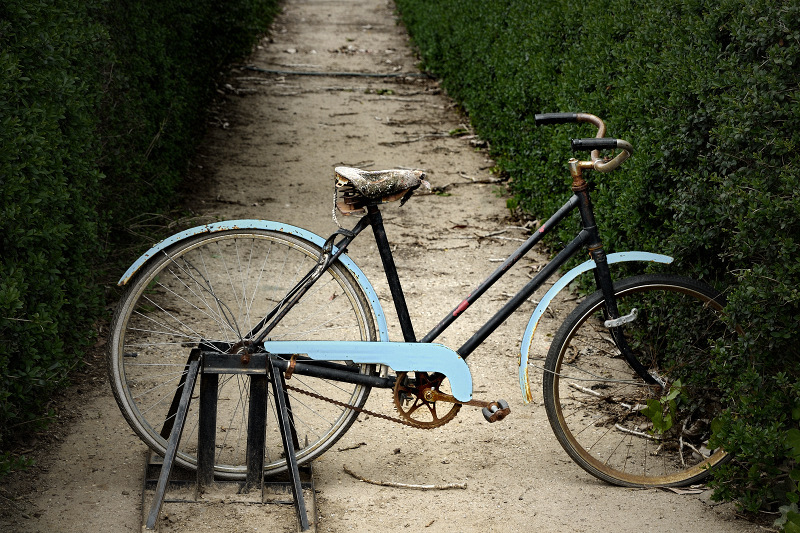 Old blue bike ~*