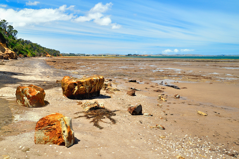 Corinella Coastline - Victoria