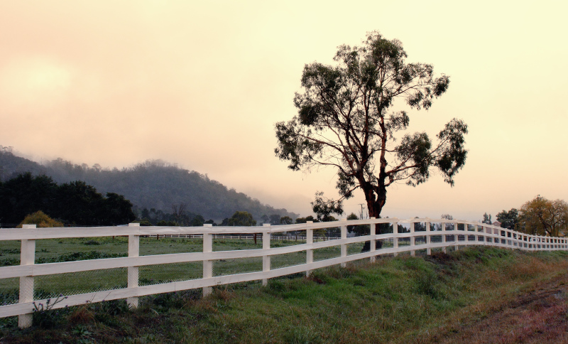 Cream fence by the highway