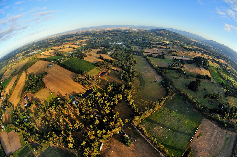 Fisheye view