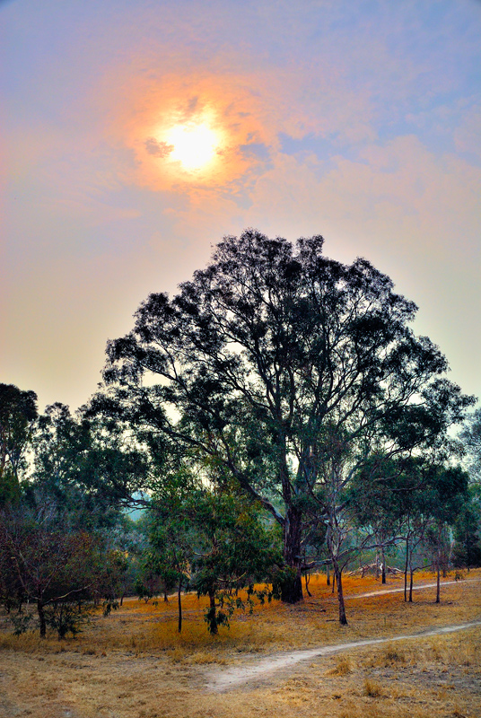 Sun breaking through haze