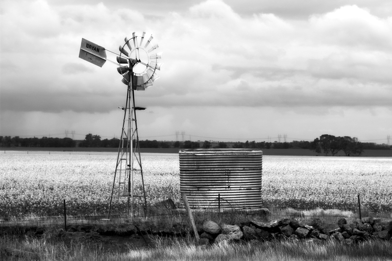 Windmill and water tank