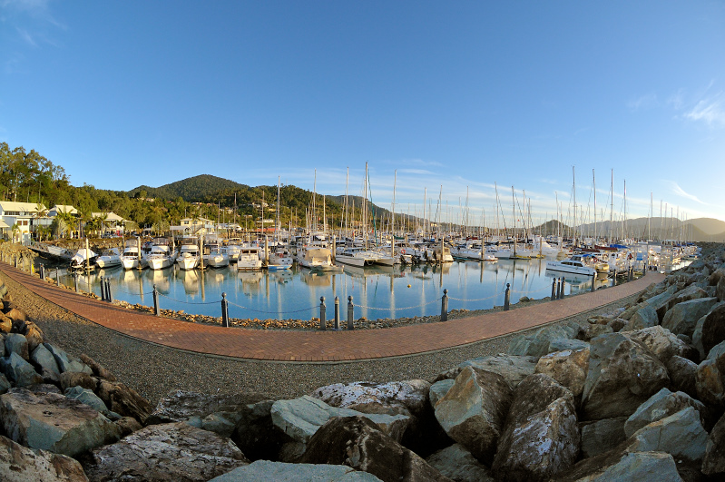 Crowded Marina