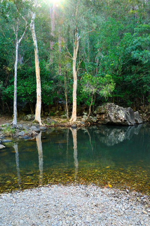 Cedar Creek