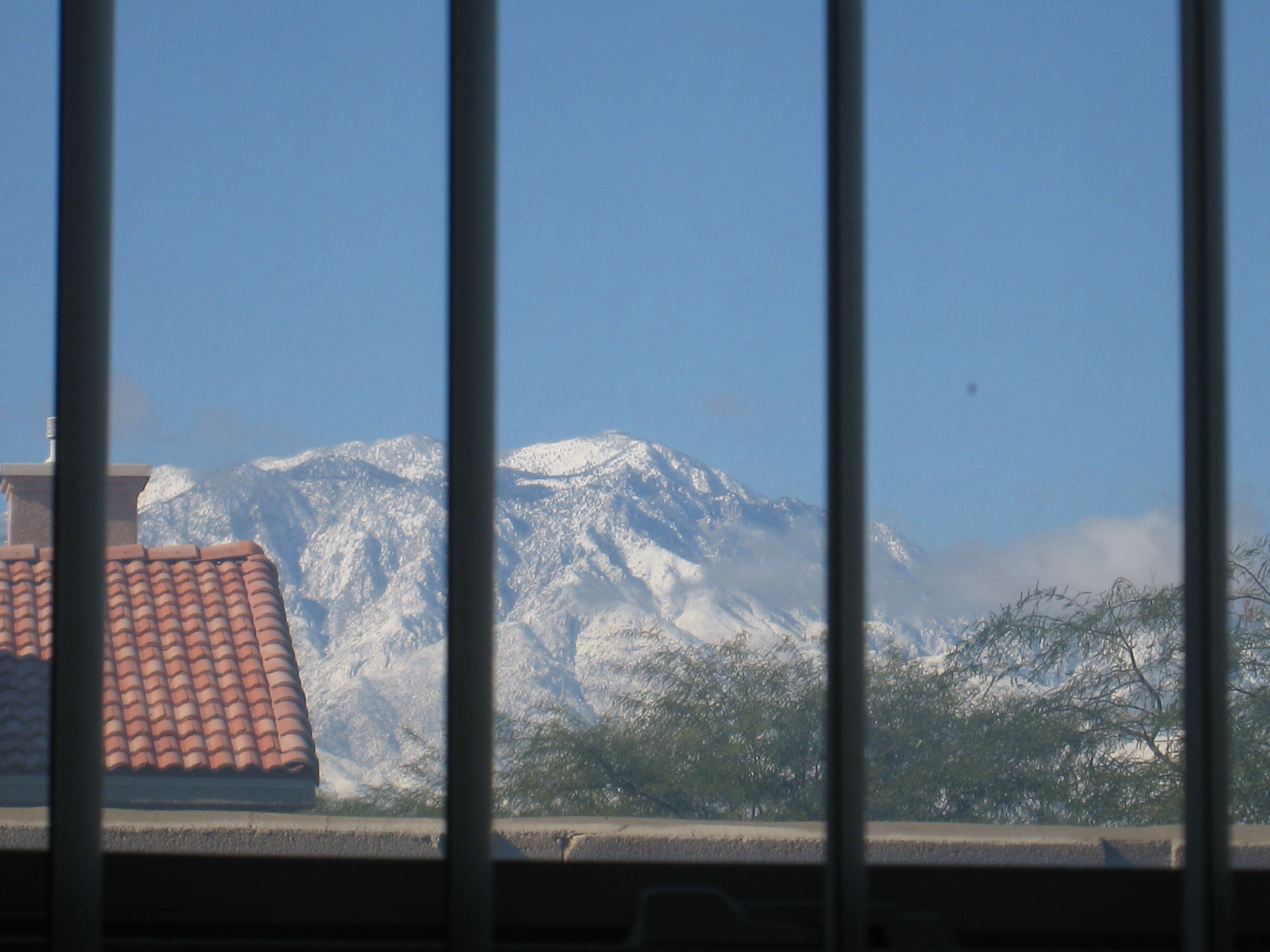  (View from my bathroom window)