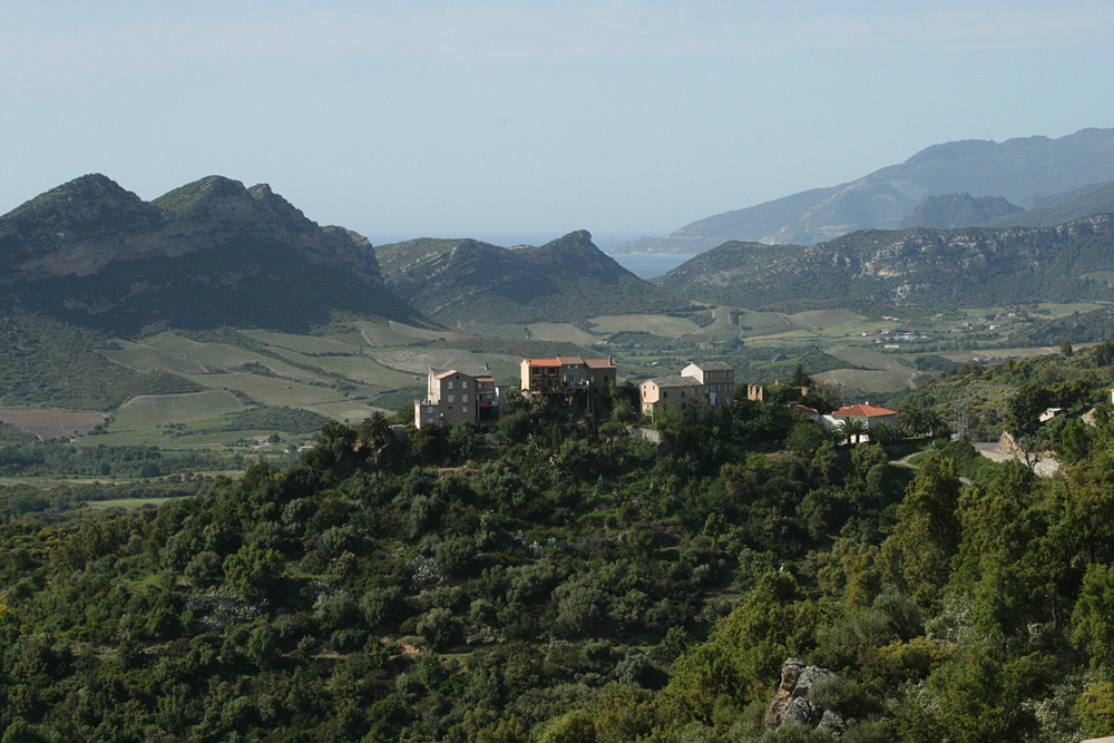 near Oletta