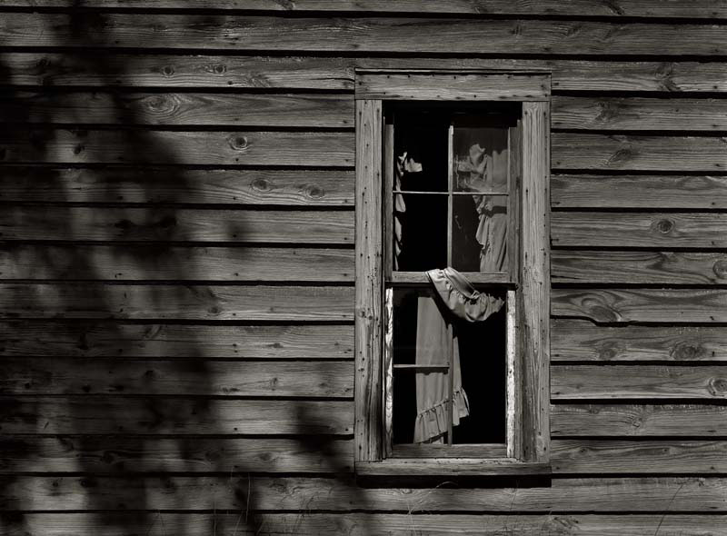 Window & Wood