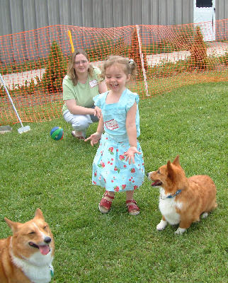 Ohio Corgi Picnic 2004