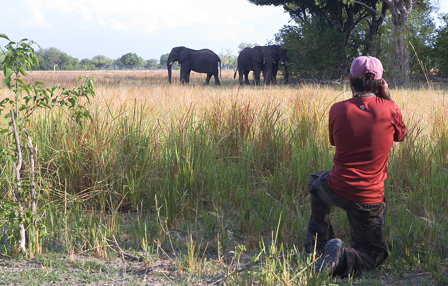 Okavango.jpg