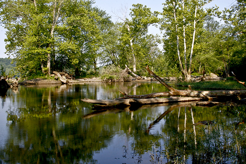 Water - reflections - colors