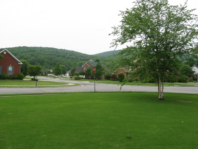 IMG_0123.JPG