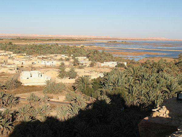 17 Siwa oasis.JPG