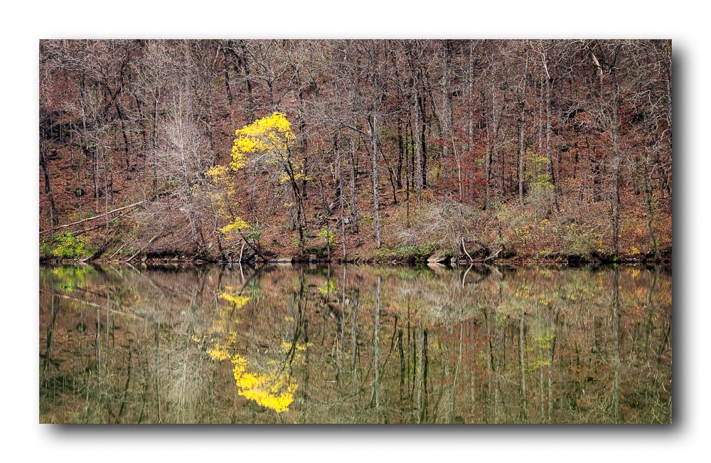 Shores Lake