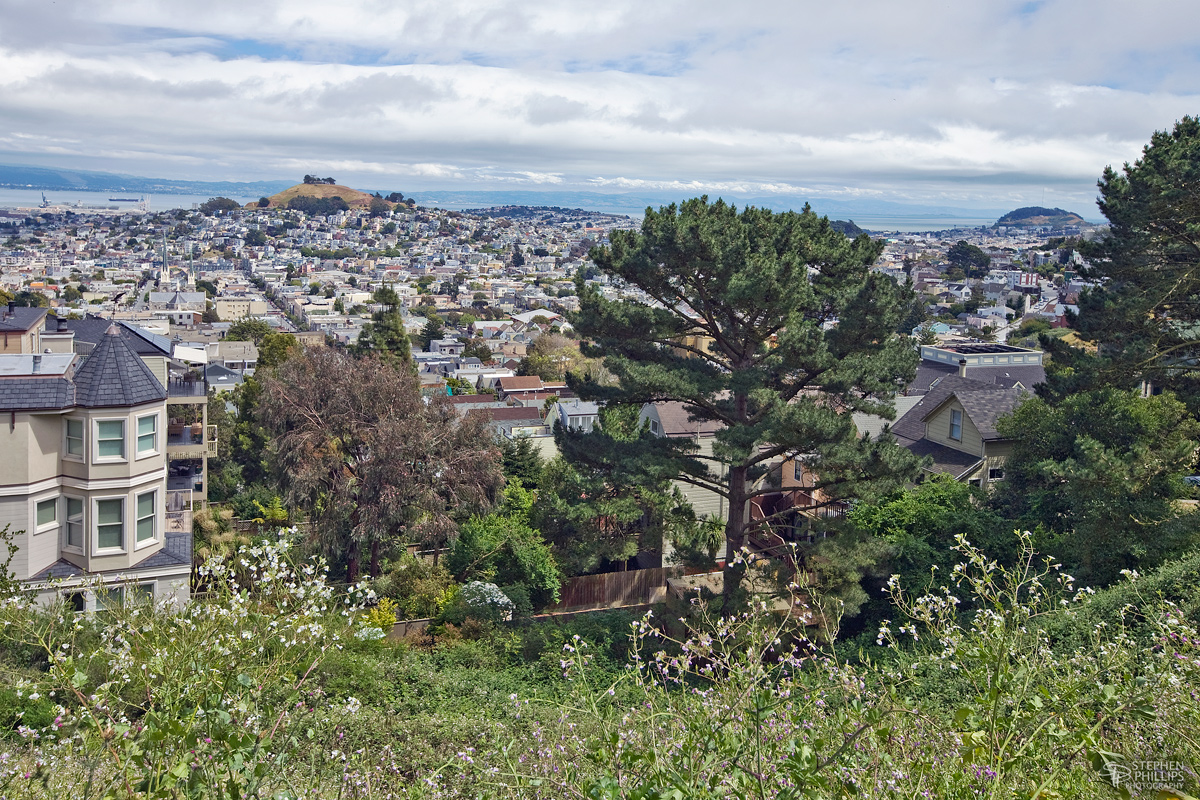 Upper Noe Valley