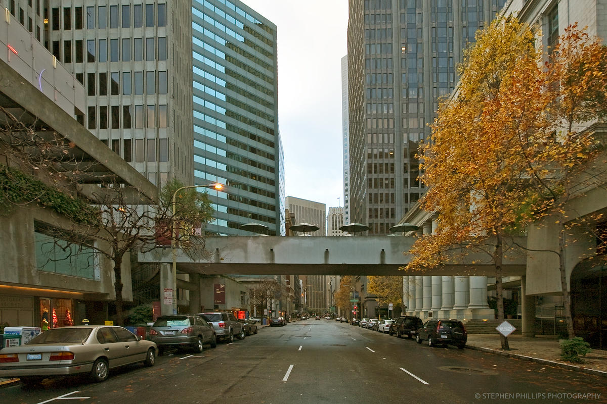 Umbrellas Above Battery Street