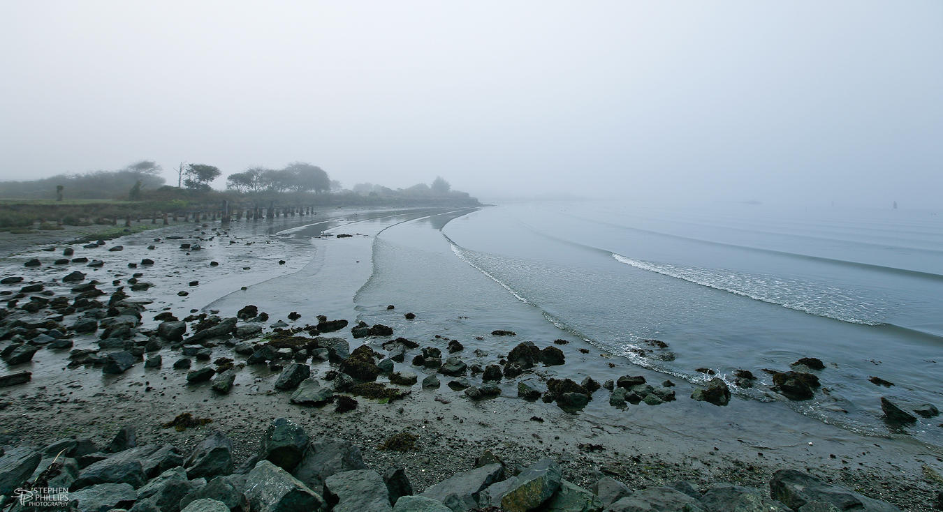 Dense Fog on Humboldt Bay