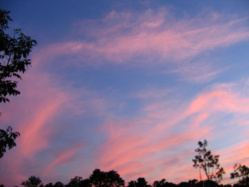 Sunset in Jersey