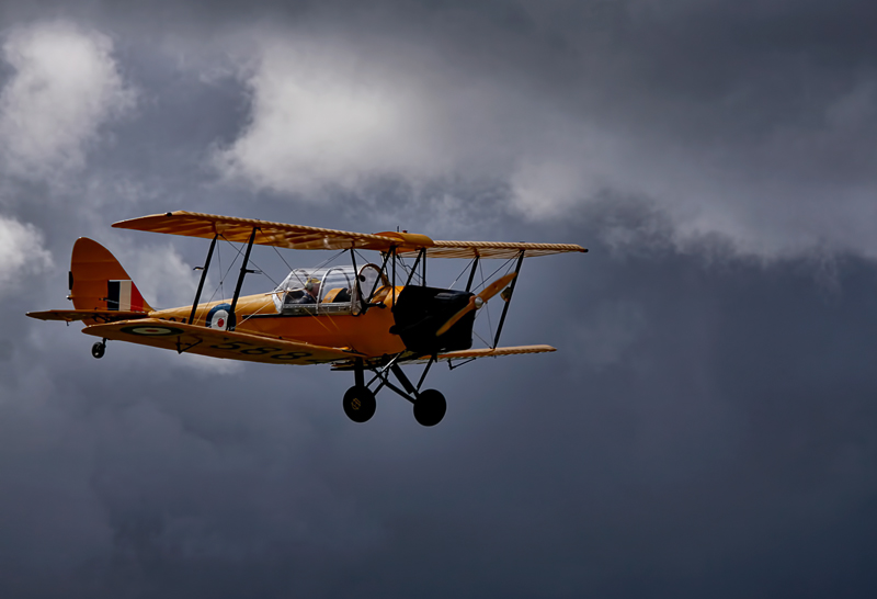 Tiger Moth 01 