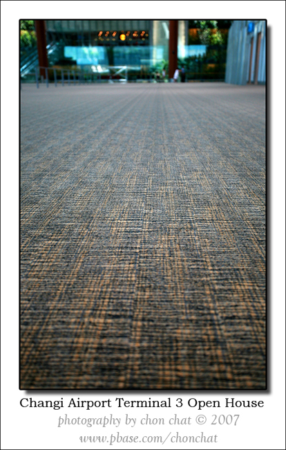 First view of the carpet