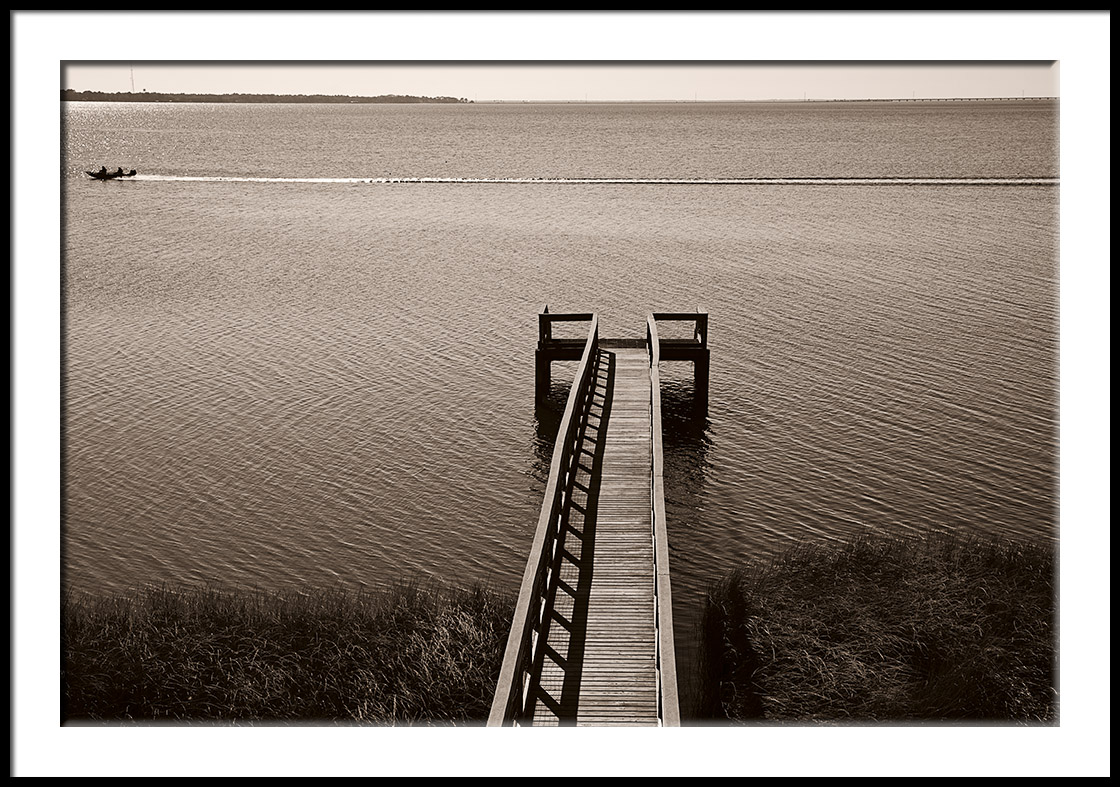 Apalachicola National Forest/River